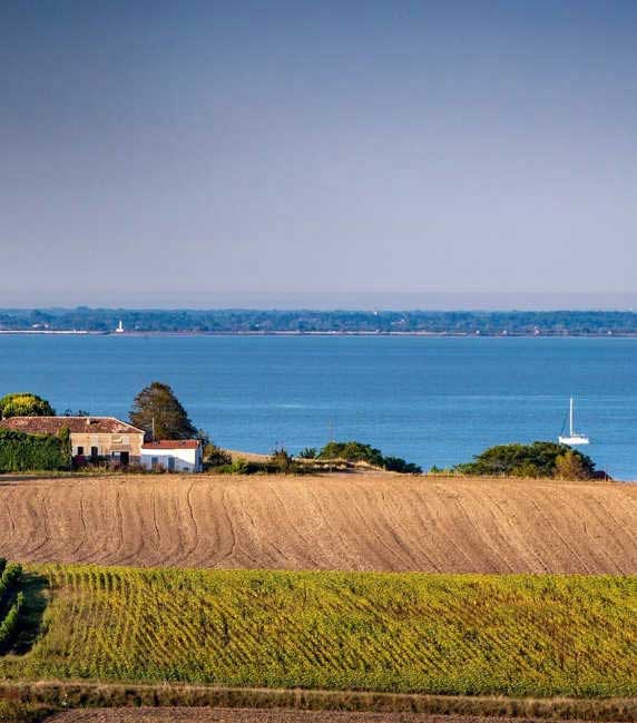 camping vacances proche des plages et de Royan en Charente Maritime