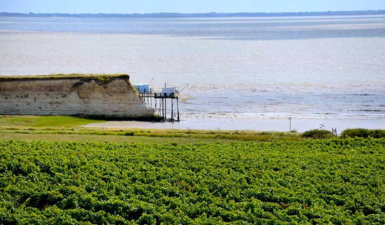 camping proche plus beau village de france charente maritime